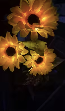 files/Screen_Shot_2026-04-26_at_4.19.36_PM.png